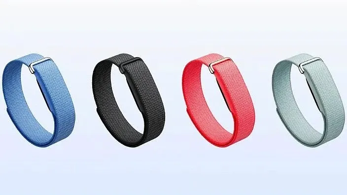 Google Fitbit Air