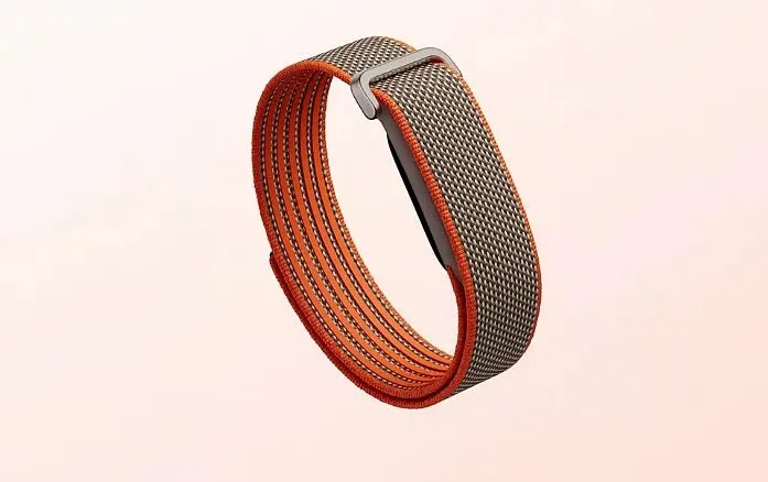 Google Fitbit Air