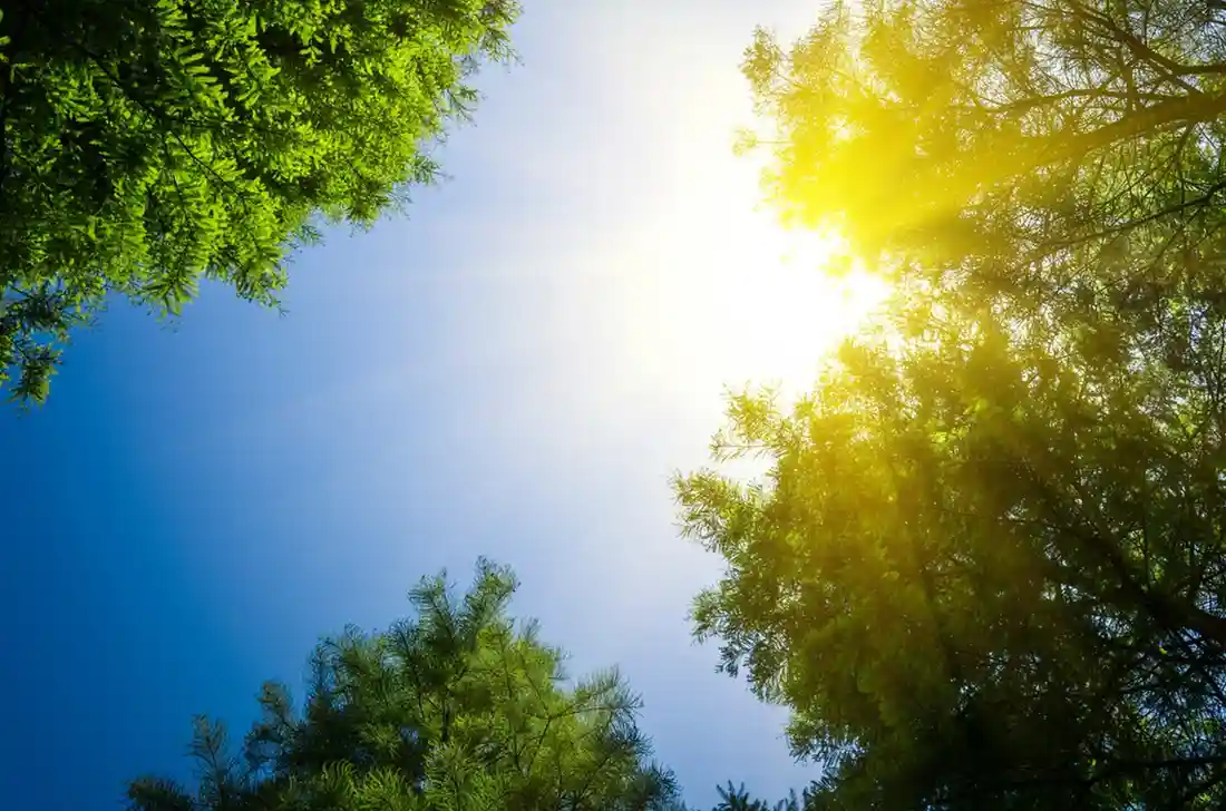 Temperatures in North India have crossed 40°C.