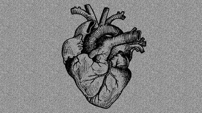 Why Are Heart Attacks So Common in India? What Do the Data Show?