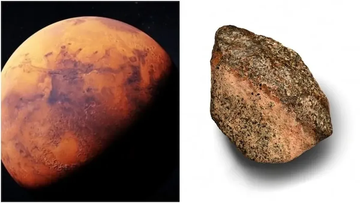A Pink Rock Picked Up in the Sahara Is One of the Oldest Pieces of Mars Ever Found