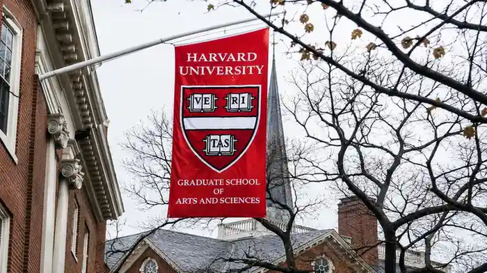 Harvard Develops New AI Model To Identify Cancer Patients That Are Responsive To Immune Therapy
