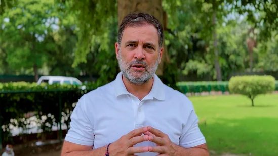 Rahul Gandhi Hits Out at Centre Over 'Asatya, Hinsa,' Calls Sonam Wangchuk's Ouster from Jantar Mantar Unjust