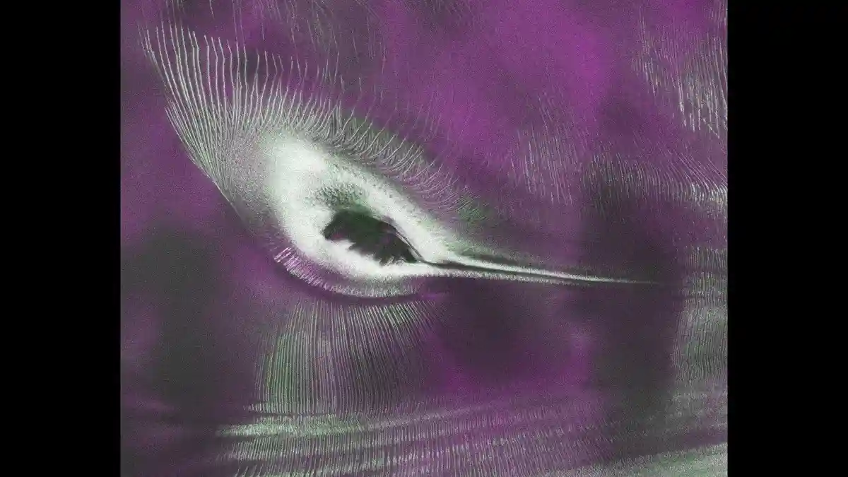 NASA and ISRO's Radar Satellite Just Found a "Hummingbird" Hiding in Antarctic Ice