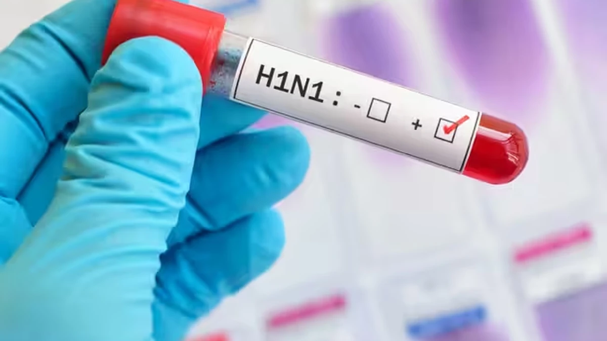 Delhi's H1N1 Cases Have Jumped Six-Fold. Here's Who Actually Needs to Worry